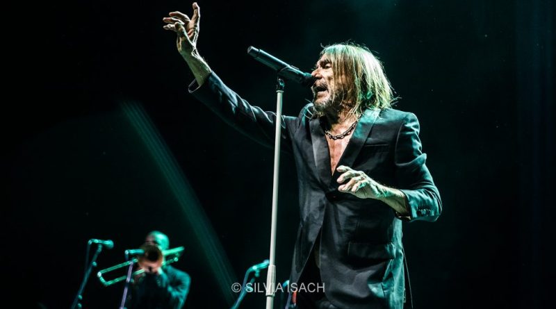 iggypop