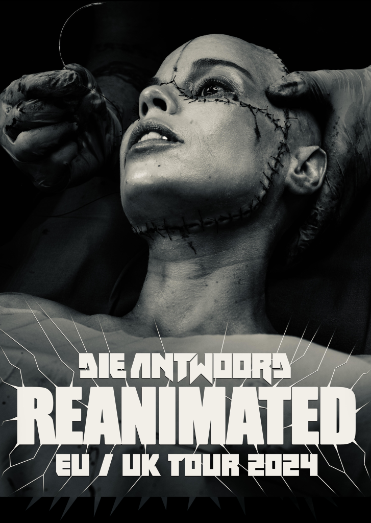 Die Antwoord